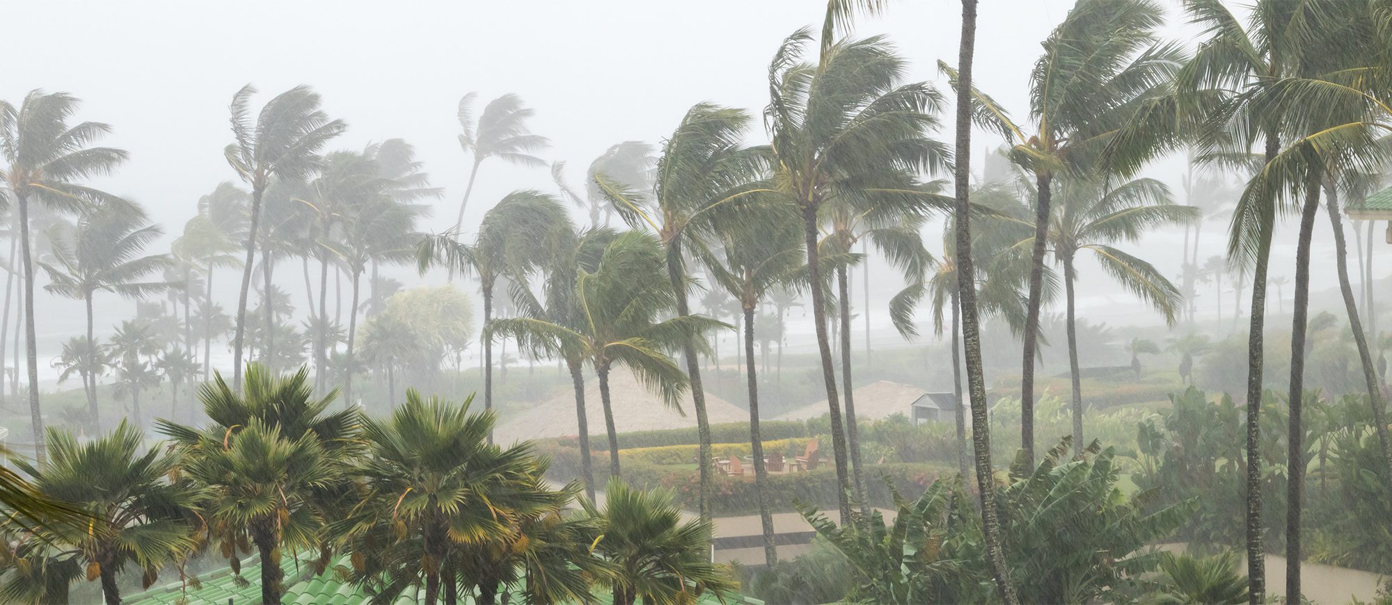 Natural disaster risk outlook in APAC for the rest of 2026 | Healix